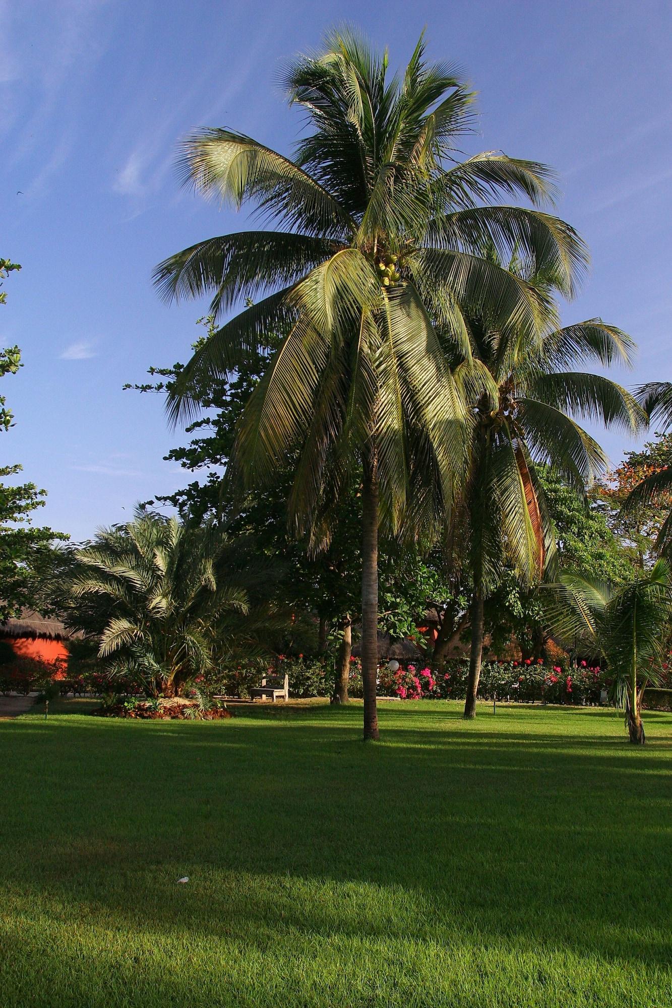 Hotel Royam ซาลี ปอร์ตูดัล ภายนอก รูปภาพ